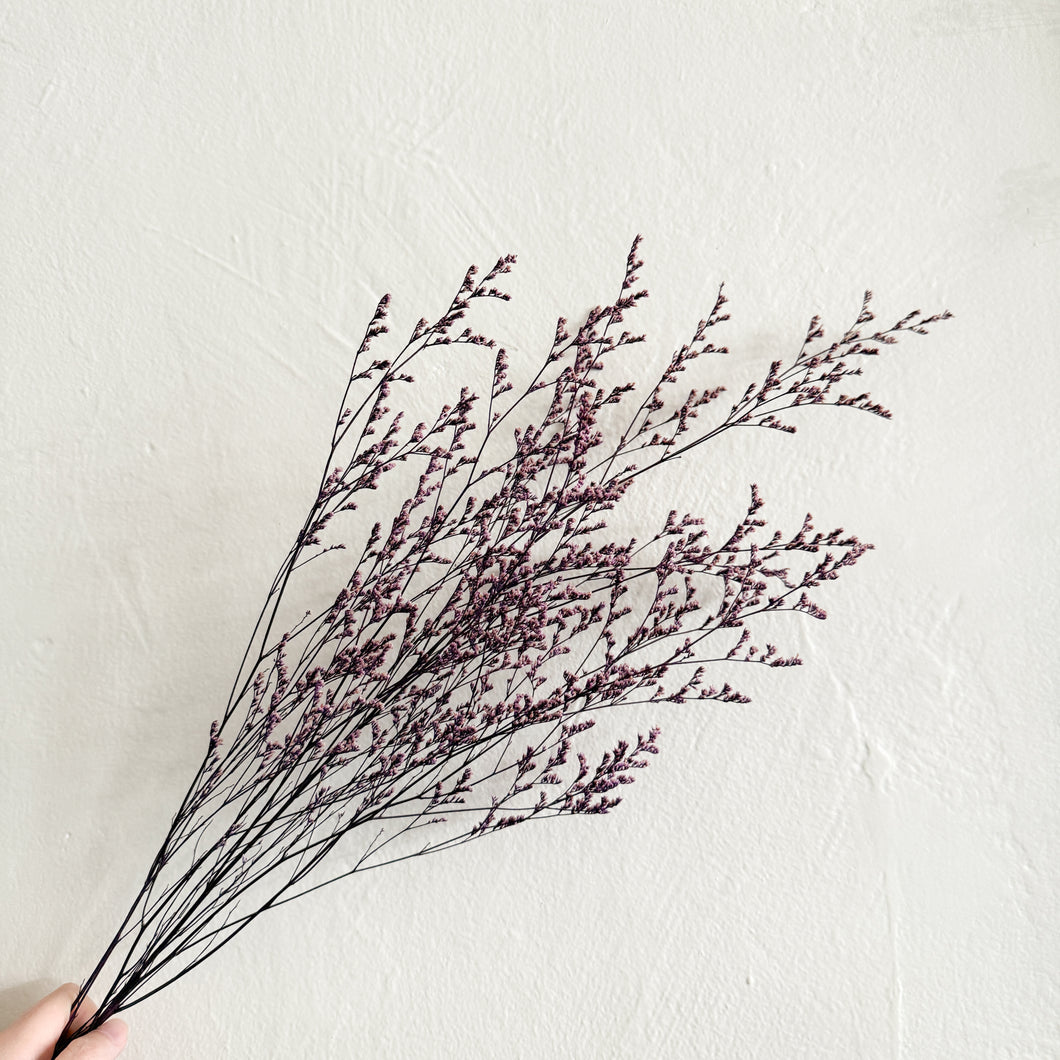 Preserved Limonium - Dark Purple