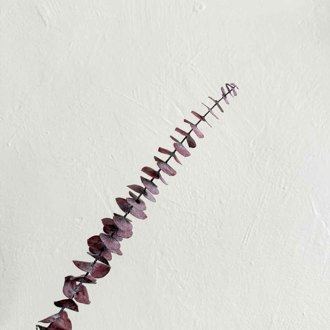 Preserved Eucalyptus - Violet