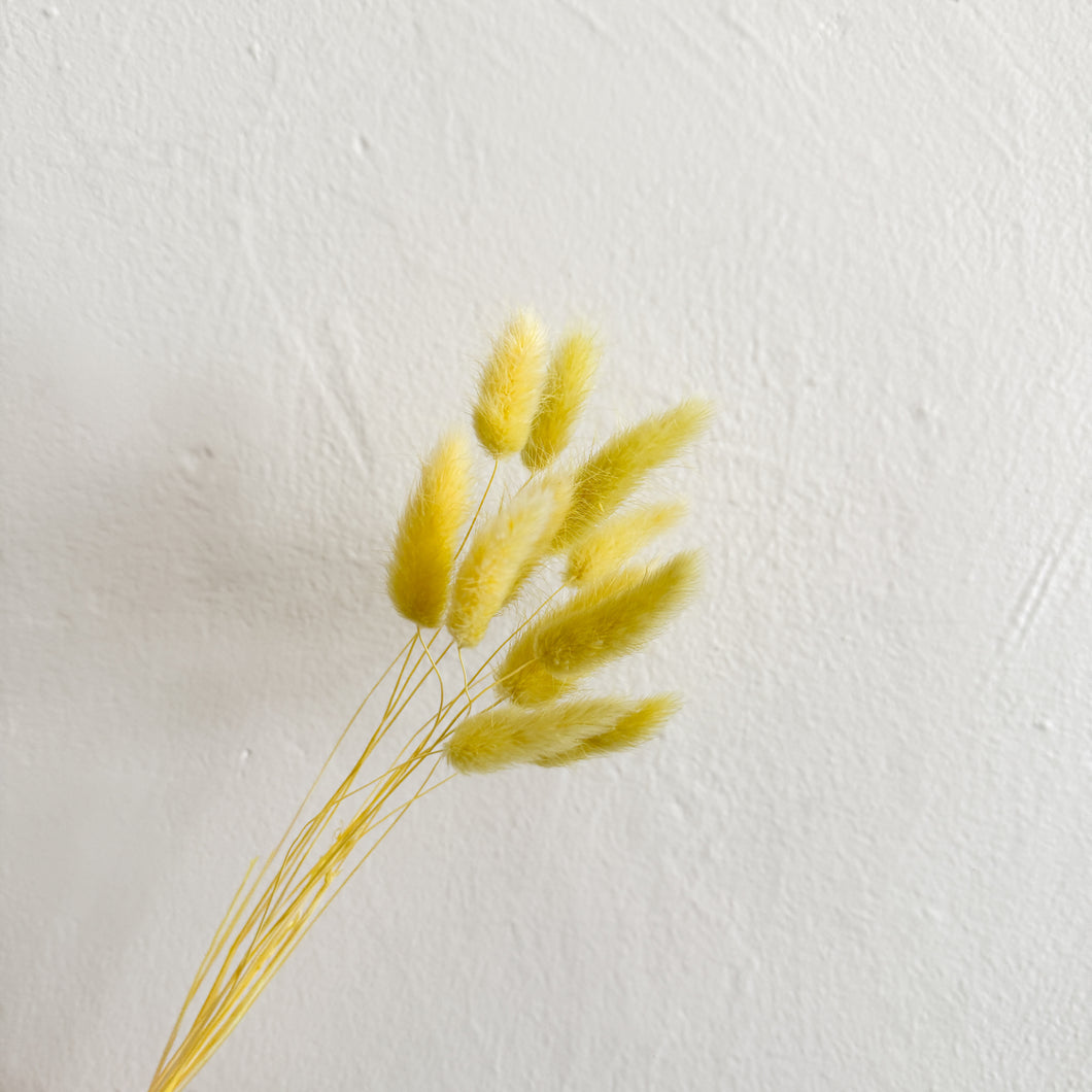 Bunny Tails - Yellow Lime