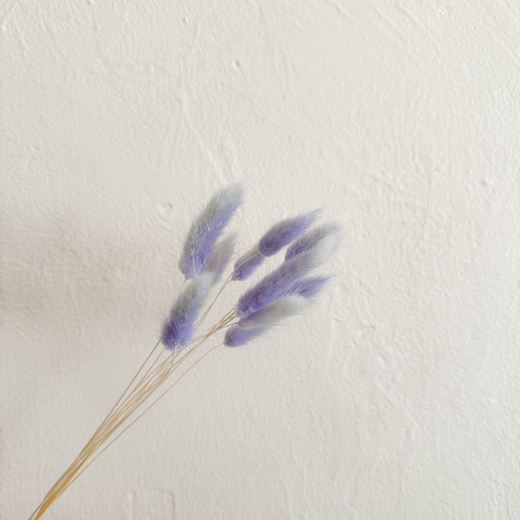 Bunny Tails - Lilac