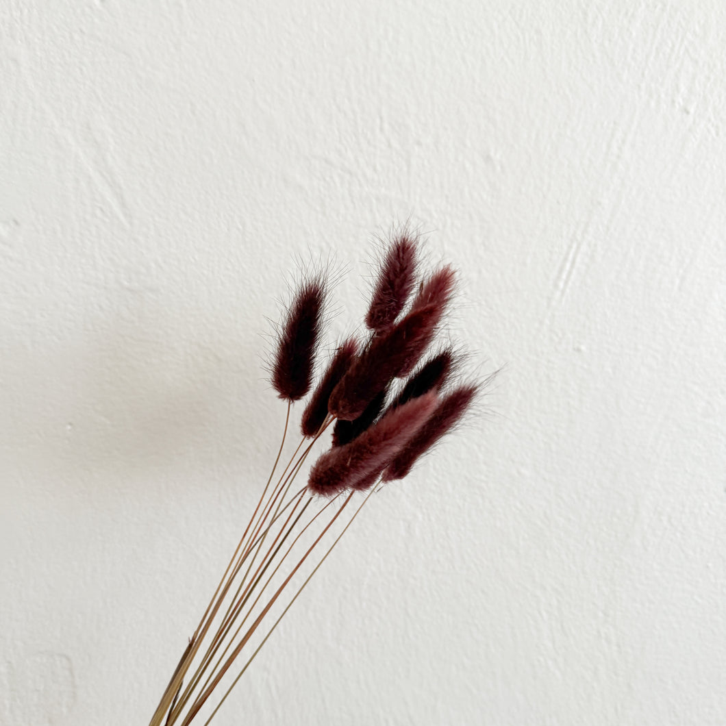 Bunny Tails - Reddish Brown