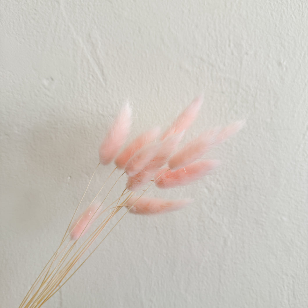 Bunny Tails - Pale Pink