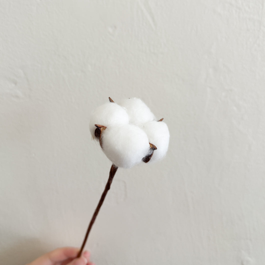 Cotton