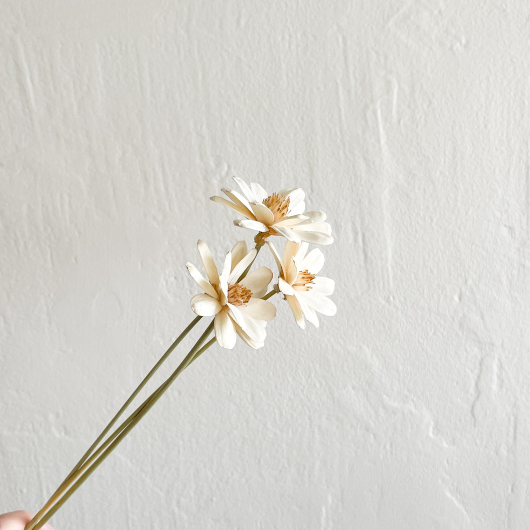 Handmade Blossom Flower- White