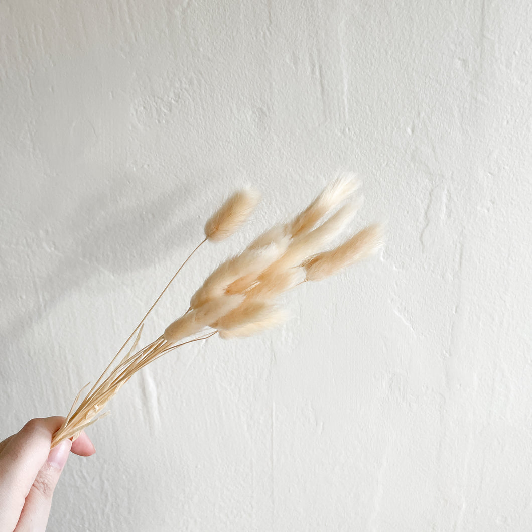Bunny Tails - Cream/White